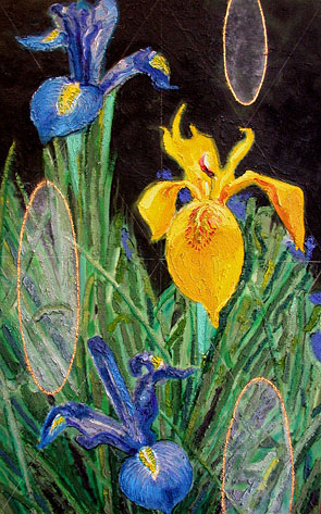 Anthon Meijssen schilderij Irissen